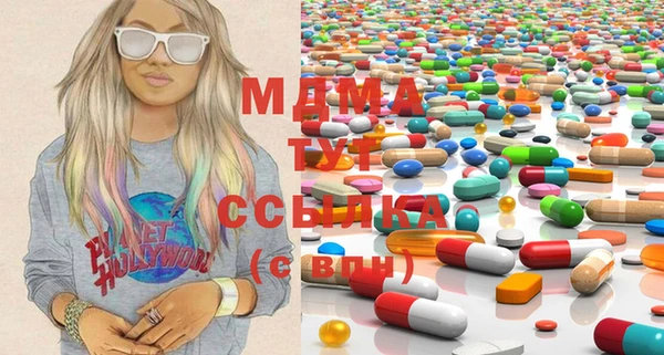 spice Богородск
