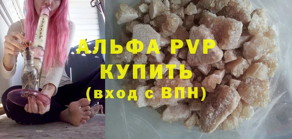 СК Белокуриха