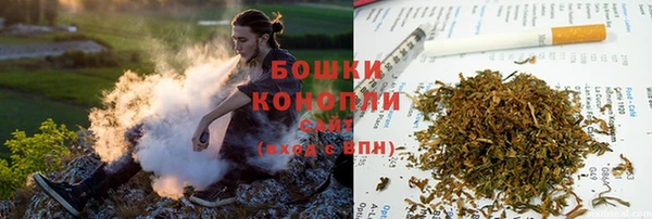 СК Белокуриха