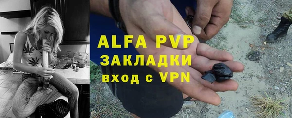 PSILOCYBIN Балахна