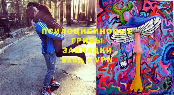 прущий лед Богданович