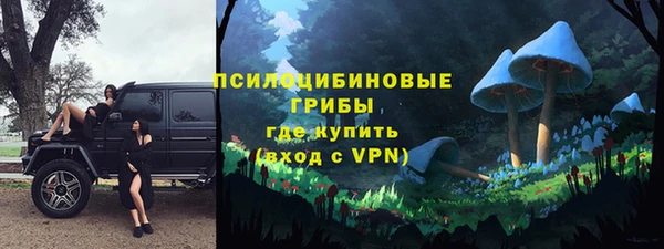 СК Белокуриха